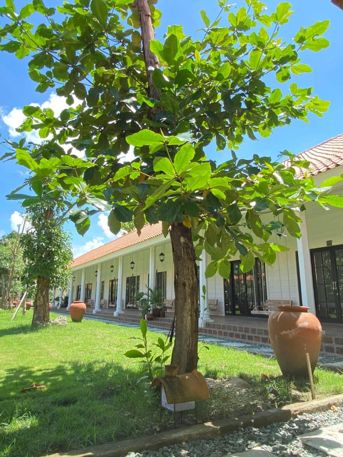 Pasir Putih Resort & Resto Maluk Luaran gambar